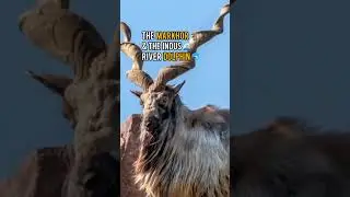3 Amazing Things About Pakistan!