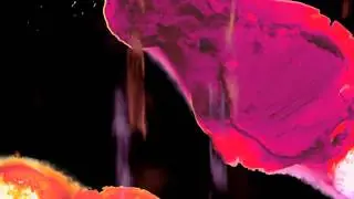 Stubborn Heart - Two Times A Maybe