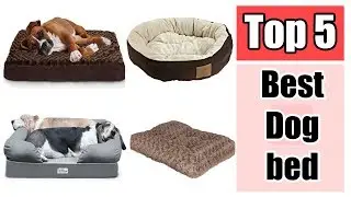 PetFusion Ultimate Pet Bed, Top 5 Best Dog bed Reviews