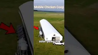 The Future of Chicken Farming: Mobile Coops