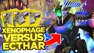 XENOPHAGE VS ECTHAR | Ghosts of the Deep DPS Test | Destiny 2 Season of the Deep