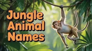 20 जंगली जानवरों के नाम सीखें | Learn 20 Wild Animals Names for Kids English Vocabulary Preschool