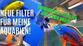 Neue Filter für meine Aquarien I TAX