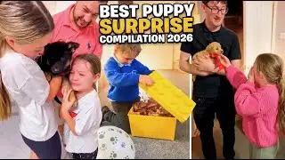 Best Puppy Surprise Compilation 2026 ❤️ Heartwarming Reactions That Will Melt Your Heart