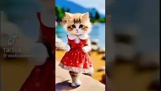 @Cet dance #trending #shorts# video #songs #🫰🫰🫰