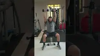 Seated Arnold Press