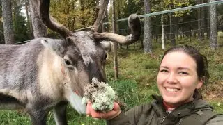 Olgamaria: Minun syyspäiväni