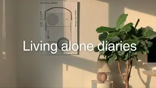 Living Alone Diaries : From Tripura to Pune | stomach upset, trying instant momos , slow days