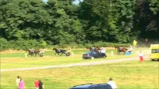 HARNESS RACING Ballineen race  9