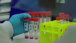 Cancer Medication Research | Siyuan Zhang