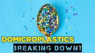 Do microplastics break down? | Short environmental facts