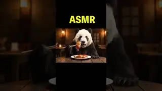 🌍🐼 Panda Eats World Cuisines | Relaxing ASMR Food Sounds #asmr #stressrelief #satisfyingsounds