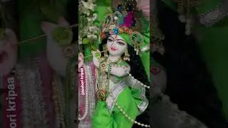 Shri bake Bihari ❤️🙏🏻@Ladduji_kishori_kripaa #radha #bakebihari #bihariji