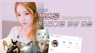 [Apink/에이핑크] 박초롱 인스타그램 영상 모음 720p