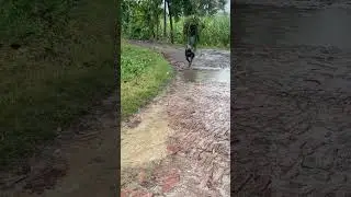 Salute to her spirit ! वाह ! अम्मा ji  #naturevlog by Nature Nuts