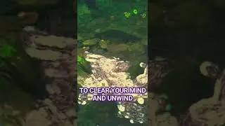 Enchanted Woods River and Rain 🌧 (Natural Soothing White Noise)