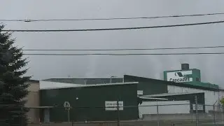 Cascades Inc. to close Niagara Falls plant after 38 years, 123 jobs cut