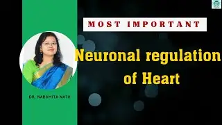 Neuronal regulation of heart, sympathetic and para sympathetic regulation