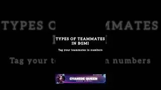 Types of teammates🤣 | Tag ur teammates Ep-12 #bgmi #bgmilive #bgmigirllivenow #bgmifunny #bgmitroll
