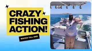 Epic #TripYellowtail Trip To BAJA Mexico But im not Going back, UNLESS...