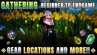 Everything You NEED to Gather in Black Desert Online