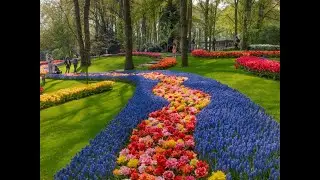 Best Places to Visit In The Netherlands - Travel Guide