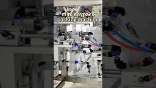 Low cost mini doypack machine | automatic zipper pouch packing machine | pet food packaging machine
