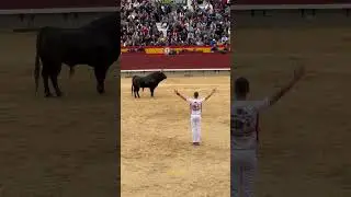&ldquo;Aron Grande&rdquo; Quiebro en el concurso de recortes castellon 2024