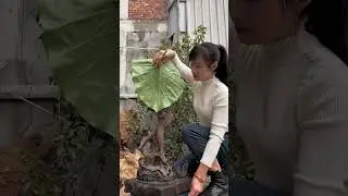 Wood Carving Woodworking Projects Woodworking Ideas #shorts #carving #wood  12