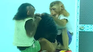 Sam boy takes care of grandpa to catch lice