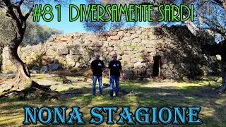 Nuraghe Albucciu - Arzachena (SS)