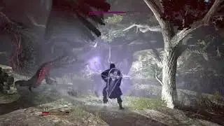 Mystic Knight vs Cockatrice Dragon's Dogma