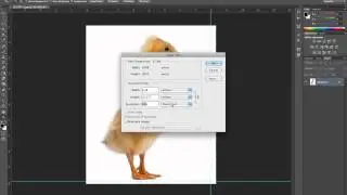 Photoshop CS6 Image Resize Resolution and Guides