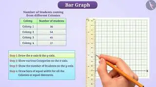 Bar Graph and Double Bar Graph | Part 1/4 | English | Class 7