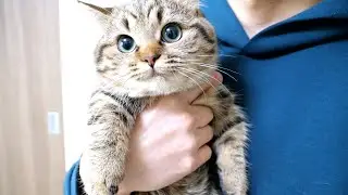 Holding kittens Kiki and Lili in my arms, I realized how much they have grown!