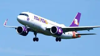 Air Cairo A320 from Hurghada landing at Frankfurt Airport #planespotting #planelanding