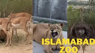 ISLAMABAD Zoo Park .All Animals