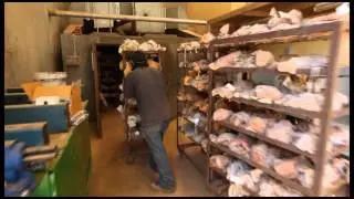 ALS Corporate Video