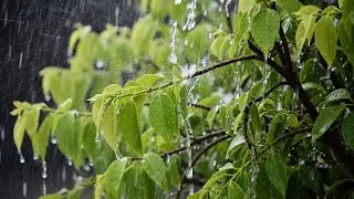Fall Asleep In Under 5 Minutes With Hammering Heavy Rain Sound & Thunderstorms
