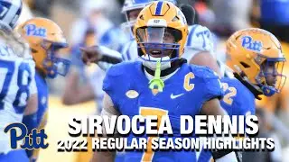 SirVocea Dennis 2022 Regular Season Highlights | Pittsburgh LB