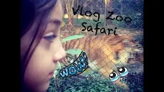 Conhecendo o Zoo Saf&aacute;ri em S&atilde;o Paulo