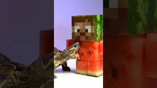 Minecraft ASMR Mukbang Eating Steve 🍉 Turtle Tortoise Crunch Sounds