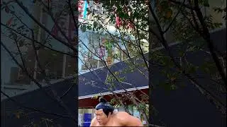 SUMO in OSAKA