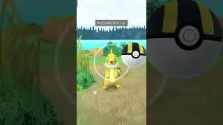 Today I caught my first shinny buizel #pokemongo #drgamer #shinypokemon