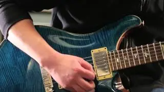 【Qsic】PRS McCarty 1st Blue Matteo 10Top Birds/Rose '06【売約済】