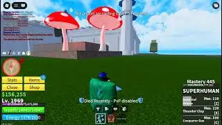 blox fruits