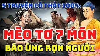 NHÂN QUẢ 🔴🔴 QUÁN MÈO TƠ 7 MÓN VÀ CÁI KẾT - 5 CÂU CHUYỆN NGHE RÙNG MÌNH
