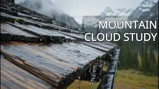 Misty Rain Over the Forest | Pure Concentration | 3 Hours