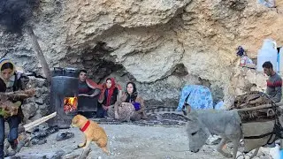 Cave Life 🪨 | Collecting Firewood with a Donkey 🐴 Surviving the Cold ❄️ in the Mountains ⛰️