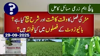 Planting & Seeding of Pea Crop | Application of Biofertilizer | Top 5 Farmer Queries